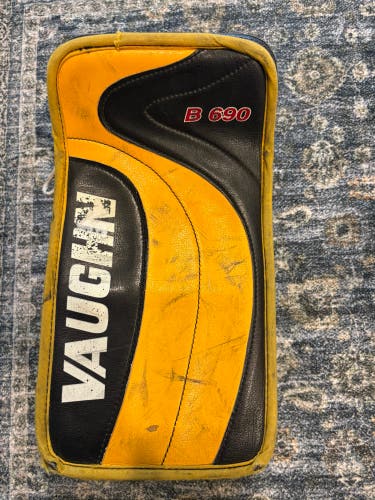 Vaughn Vision B 690