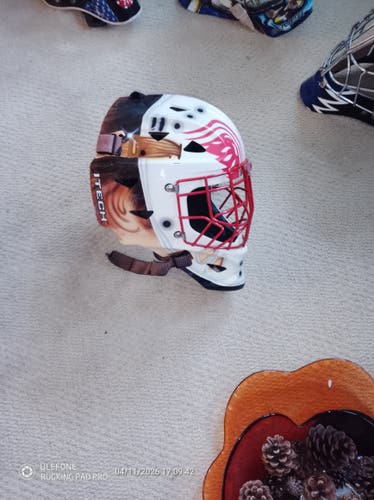 Detroit Red Wings ITEC mask