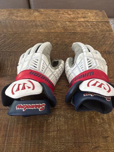 Nike Lacrosse Gloves (Used)