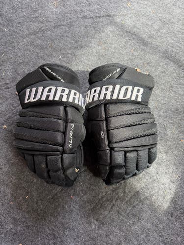 Warrior Alpha Classic Pro Gloves (Used)