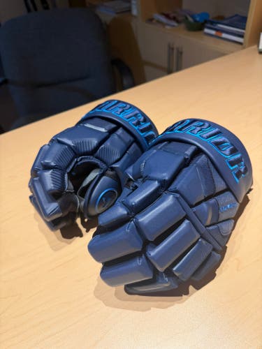 Warrior Covert QR6 SE Gloves 13" (Used)