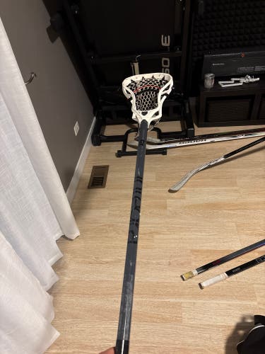 Adult Brine Clutch Stick (Used)