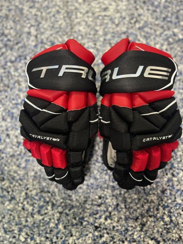 True Catalyst 9x3 Gloves 13" (Used)