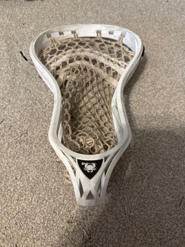 ECD Rebel Head (Used)