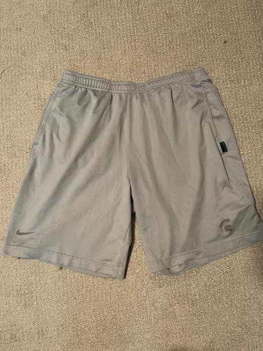 Gray Large Men's Michigan State Shorts