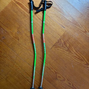 Jr Scott Racing World Cup GS Ski Poles (Used)
