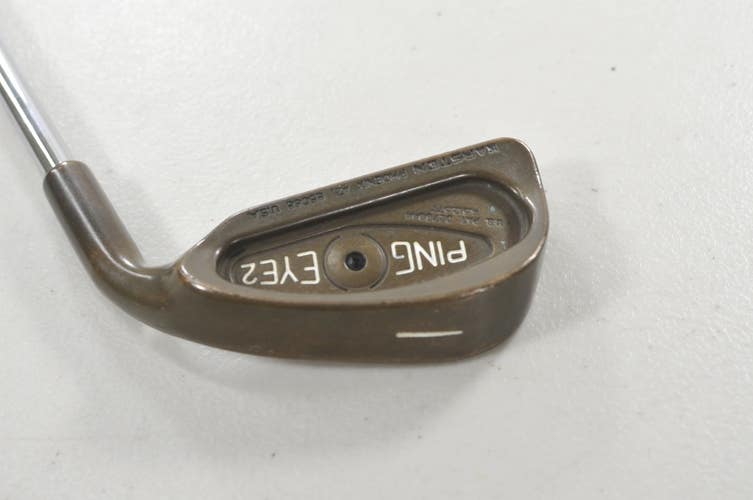 Ping Eye 2 Beryllium Copper Single 1 Iron Rifle FCM 5.5 Black Dot Steel #218890