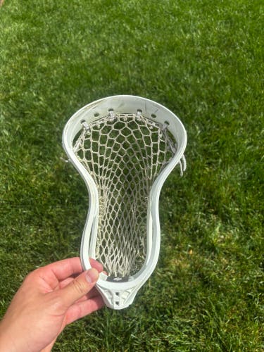StringKing Mark 2F Head (Used)