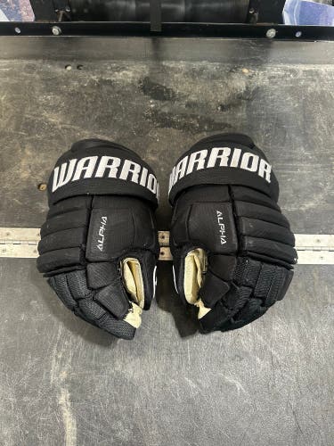 Warrior Alpha Pro Gloves 14" Pro Stock (Used)