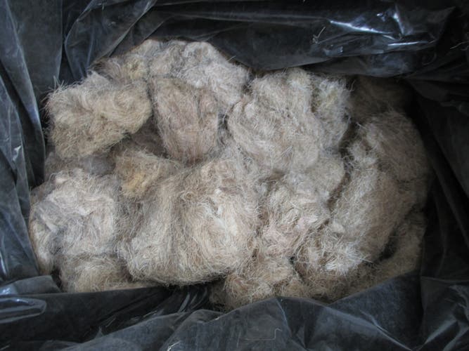 Original Deer Hair Stuffing from goalie Pads for restoration projects