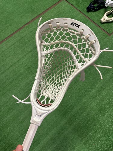 LOOKING FOR OG STX STALLION