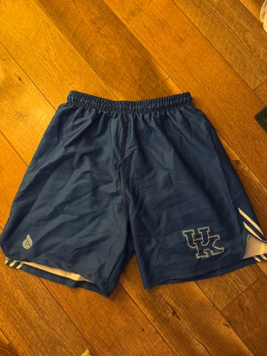 Blue Large Men's Shorts (New)