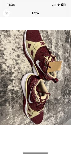 Men's Size M 11.0 (W 12.0) Adult Nike Shoes (New)