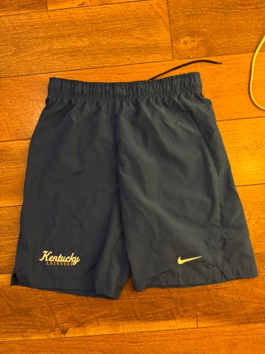 Blue Small Men's Nike Shorts (New)