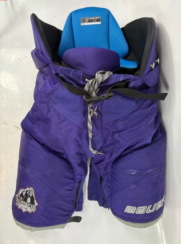 Senior Large Bauer Nexus Pro Hockey Pants (Used)