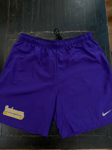 Haudenousaunee Nationals Men's Nike Shorts