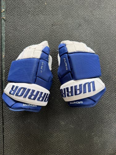 Warrior Gloves 14" Pro Stock (Used)