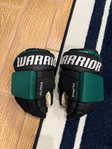 Warrior Alpha QX Pro Gloves 13" Pro Stock (Used)