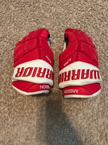 Warrior Alpha Gloves 11" (Used)