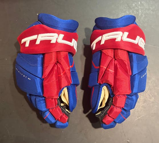 True Catalyst 9x Pro Gloves 13" (New)