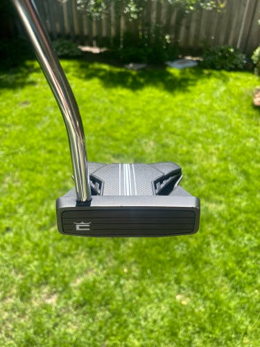 Men's 2024 Cobra Cobra 3DP Agera Putter Mallet Left Hand Putter Steel Shaft 38" (Used)