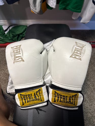 Everlast 16oz Gloves with bag