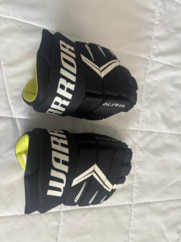 Warrior Alpha Gloves 10" (Used)