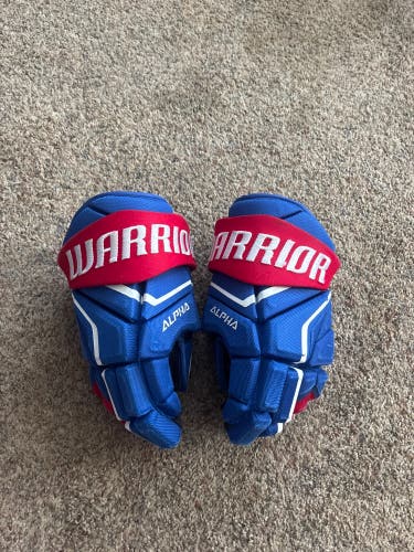 Warrior Alpha Pro Gloves 13" (Used)