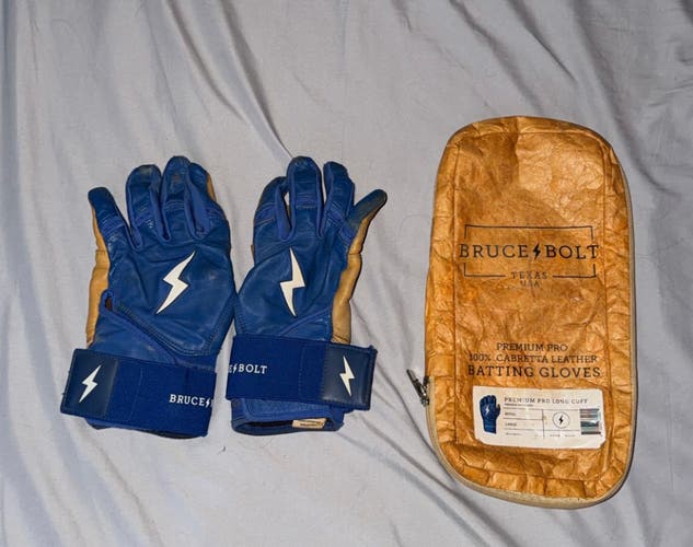 Large Batting Gloves (Used)