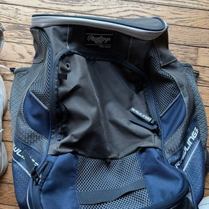 Rawlings Bat Bag (Used)