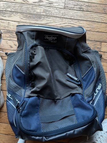 Rawlings Bat Bag (Used)