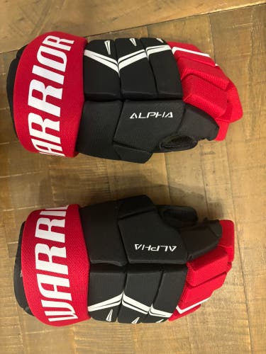 Warrior Alpha DX5 Gloves 13" (Used)