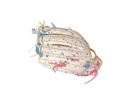 Used Wilson A2000 T125 BB/SB Glove RH Throw White 12 1/2" 11846-S000105280