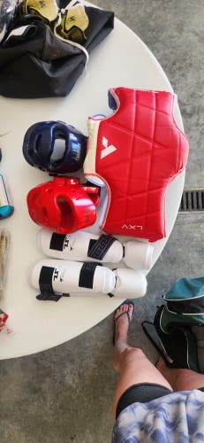 Youth taekwondo sparring gear (New)