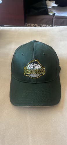 Humboldt Broncos Green Men's One Size Fits All Hat (New)