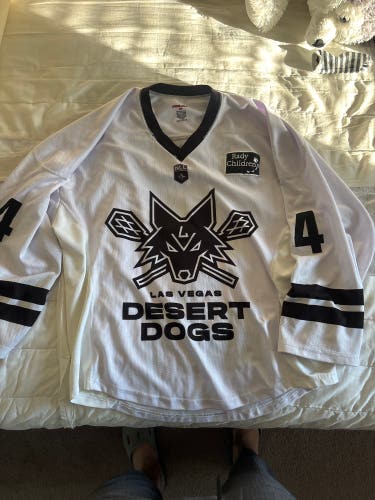 Game worn Las Vegas desert dogs jersey
