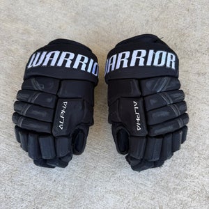 Warrior Alpha DX3 Gloves 10" (Used)