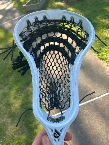 Powell Pioneer 2 Fresh Stringing Head (Used)