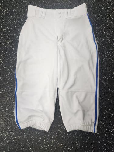 Used Champro Mens Pants Bb Sb Pant Mens White Sm 11849-s000027056