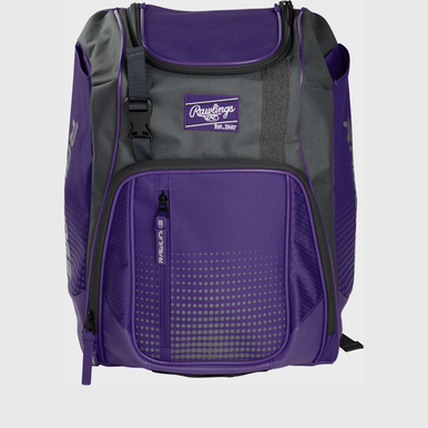 New Franchise Backpack Purple 11855-rawfranbp-pu