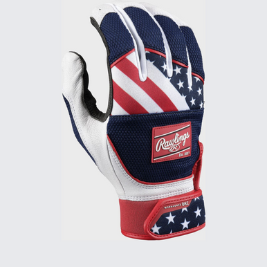 New Workhorse Fastpitch Batting Gloves Usa Sm 11855-rawwhokcwfpuss
