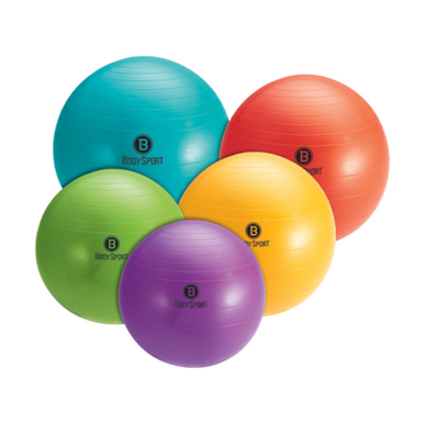 New Body Sport 65cm Body Ball 10299-bspbds10065