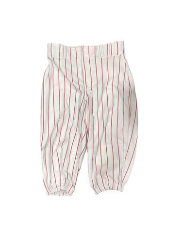 Used Champro Bb Pants Bb Sb Pant Mens White Md 11847-s000024180