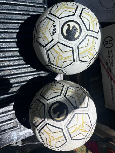 Puma Soccer Ball (Used)