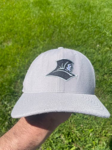 Gray Adult Unisex One Size Fits All Nike Hat (Used)