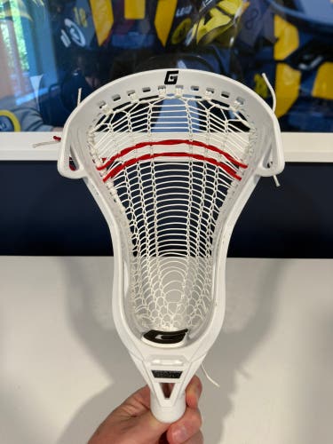 BANNED Gait D Head (Very, Very Lightly Used)