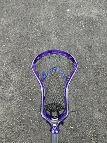Purple ECD Ion with ECD Hero 4.0 mesh