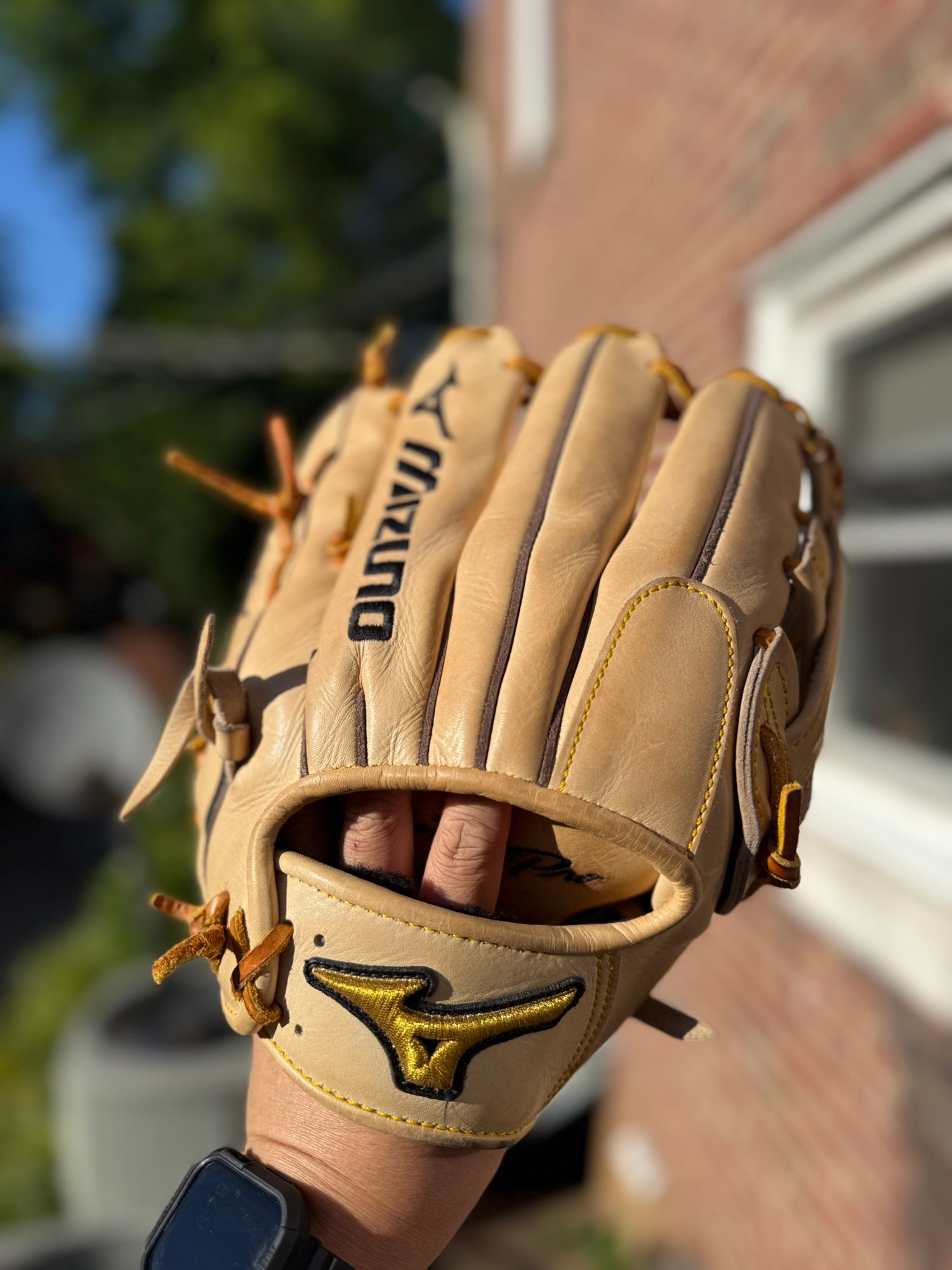 Mizuno Pro 12