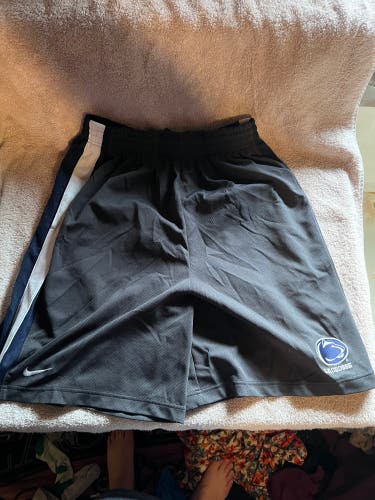 Gray XL Adult Unisex Nike Shorts (Used)
