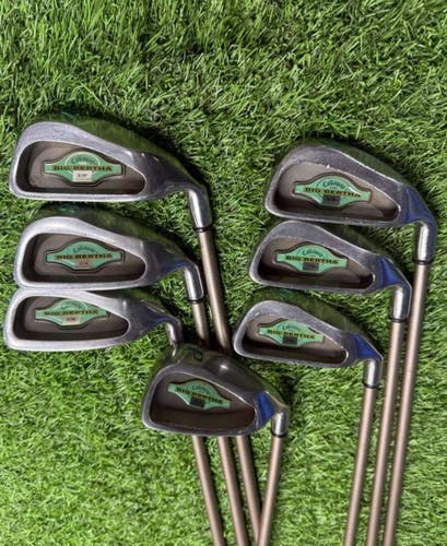 Callaway - BIG BERTHA - IRON SET 4-Pw - Graphite - Gems LADY - Lady Flex	- RH